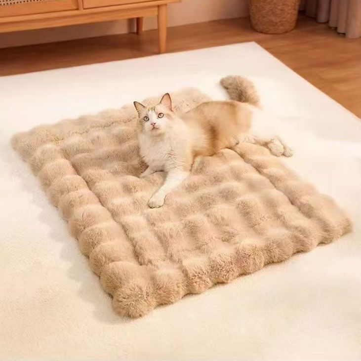 Coussin de lit pour chat Coussin pour chat pour dormir Coussin pour chat Lit pour chien Coussin pour animal de compagnie Coussin pour chien Coussin pour chat Couverture 