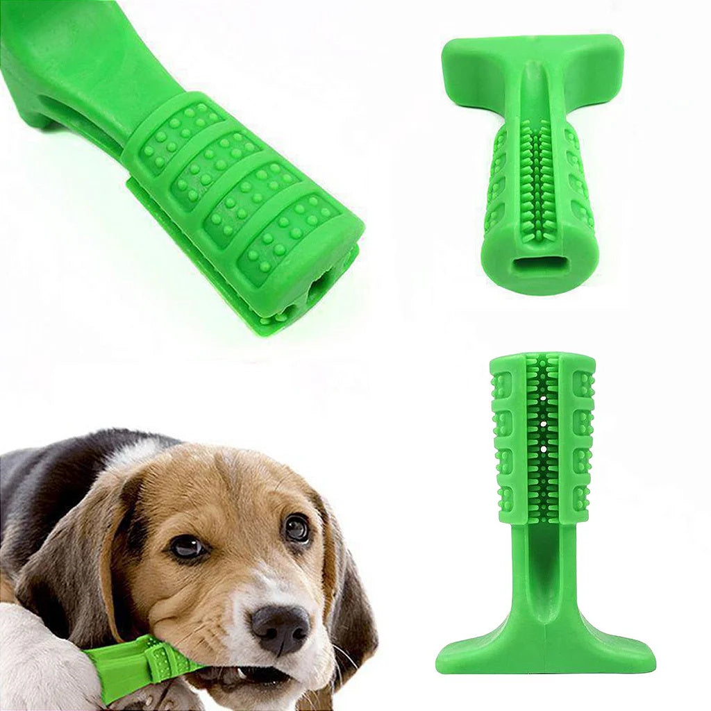 Toothbrush Toothbrush Toy For Big Dog