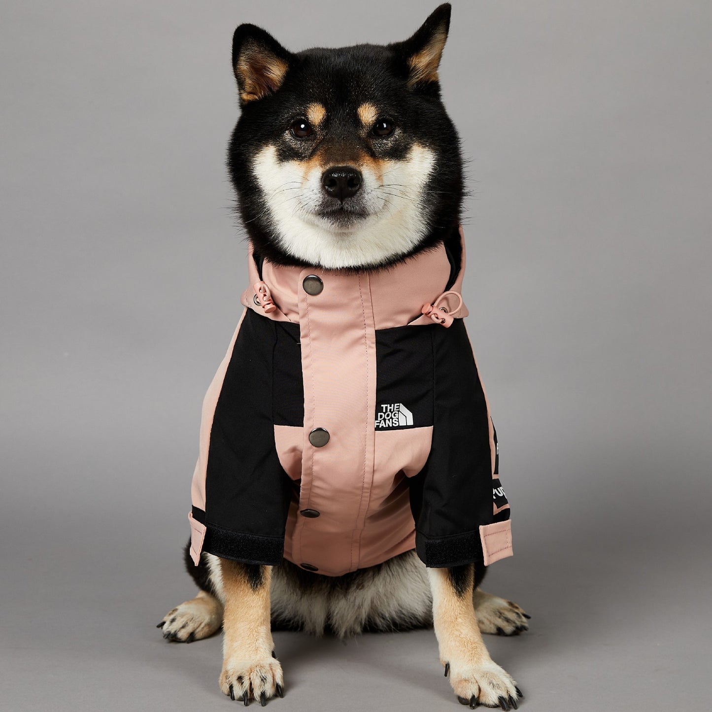 Veste imperméable coupe-vent et imperméable pour grands chiens