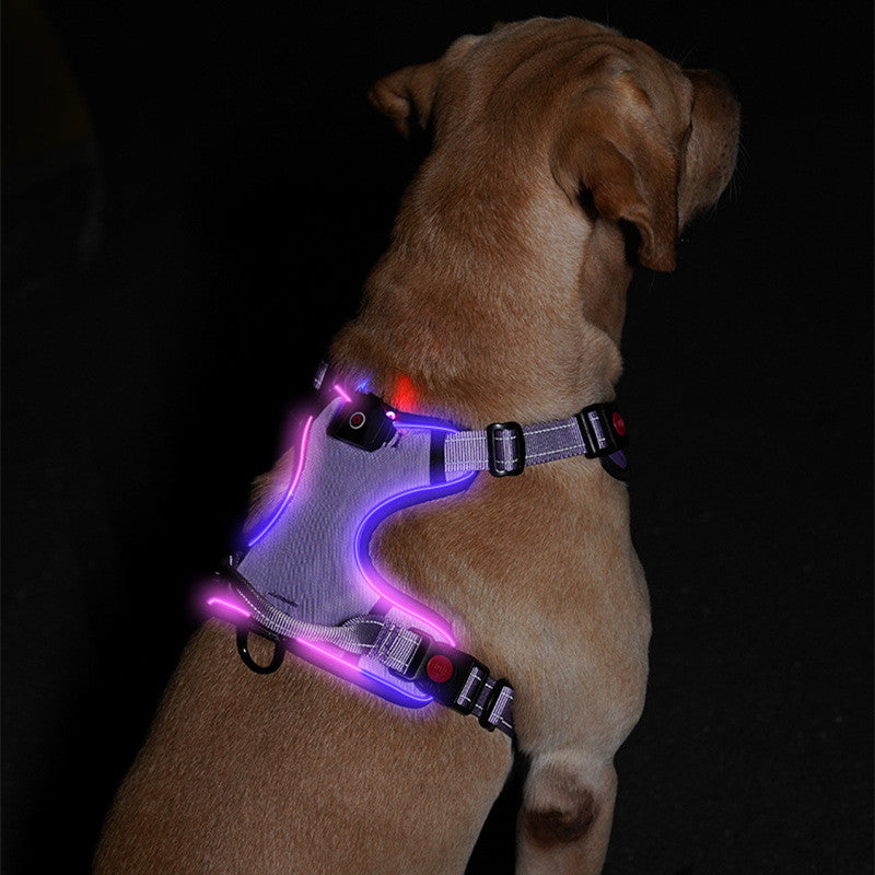 Sangle de poitrine lumineuse LED rechargeable par USB pour animaux de compagnie