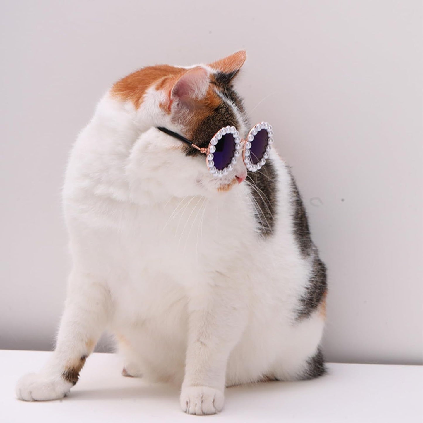 Cat And Dog Pearl Sunglasses - Pet Extravagant Funny Cute Dress Up Costume Accessories For Party