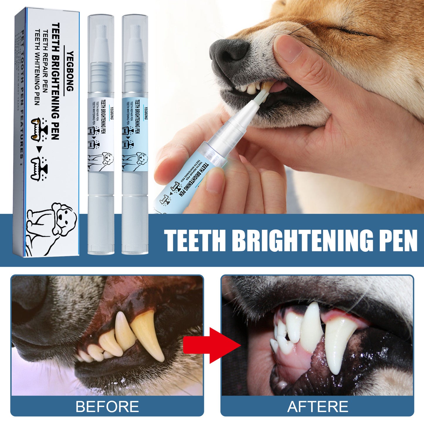 Stylo de blanchiment des dents Yegbong Pet pour chien et chat, antitartre