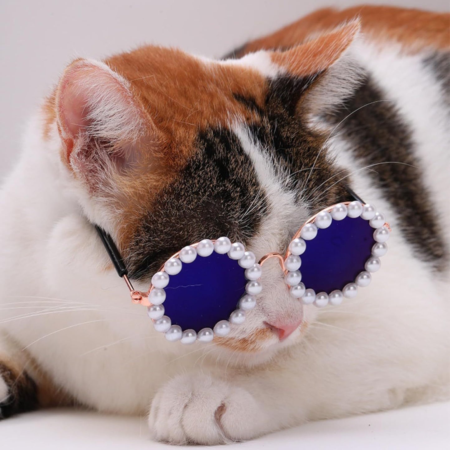 Cat And Dog Pearl Sunglasses - Pet Extravagant Funny Cute Dress Up Costume Accessories For Party