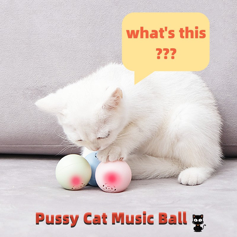 Nuevos juguetes con sonidos y mordeduras de pelota musical Self-Hi Pussy Cat