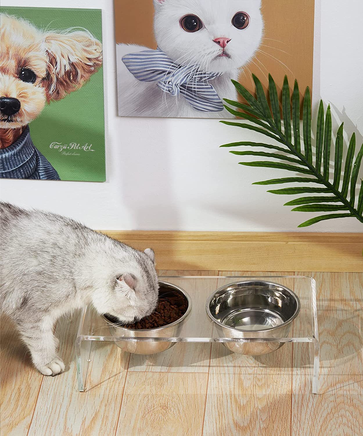 Alimentador de acrílico para perros y gatos, estante de alimentación para perros y gatos pequeños