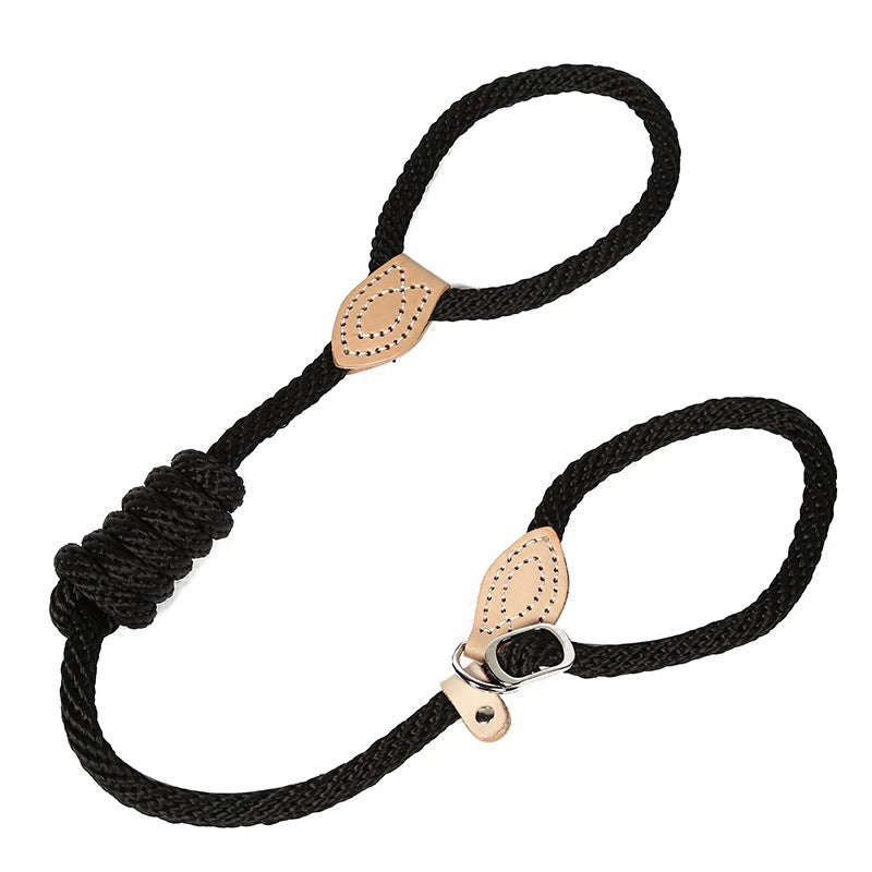 Laisse pour chien de dressage intégrée avec collier de traction