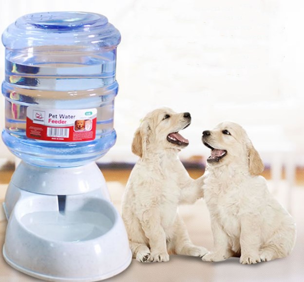 Chats chiens mangeoire automatique pour animal de compagnie fontaines d'eau potable grande capacité en plastique animaux chien bol de nourriture distributeur d'eau