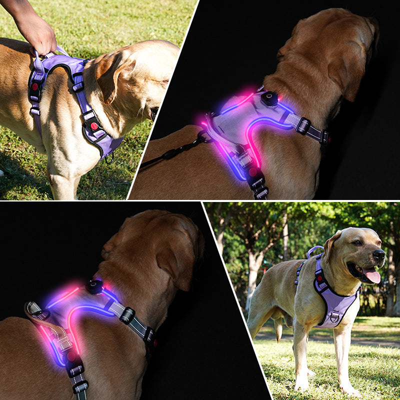 Sangle de poitrine lumineuse LED rechargeable par USB pour animaux de compagnie