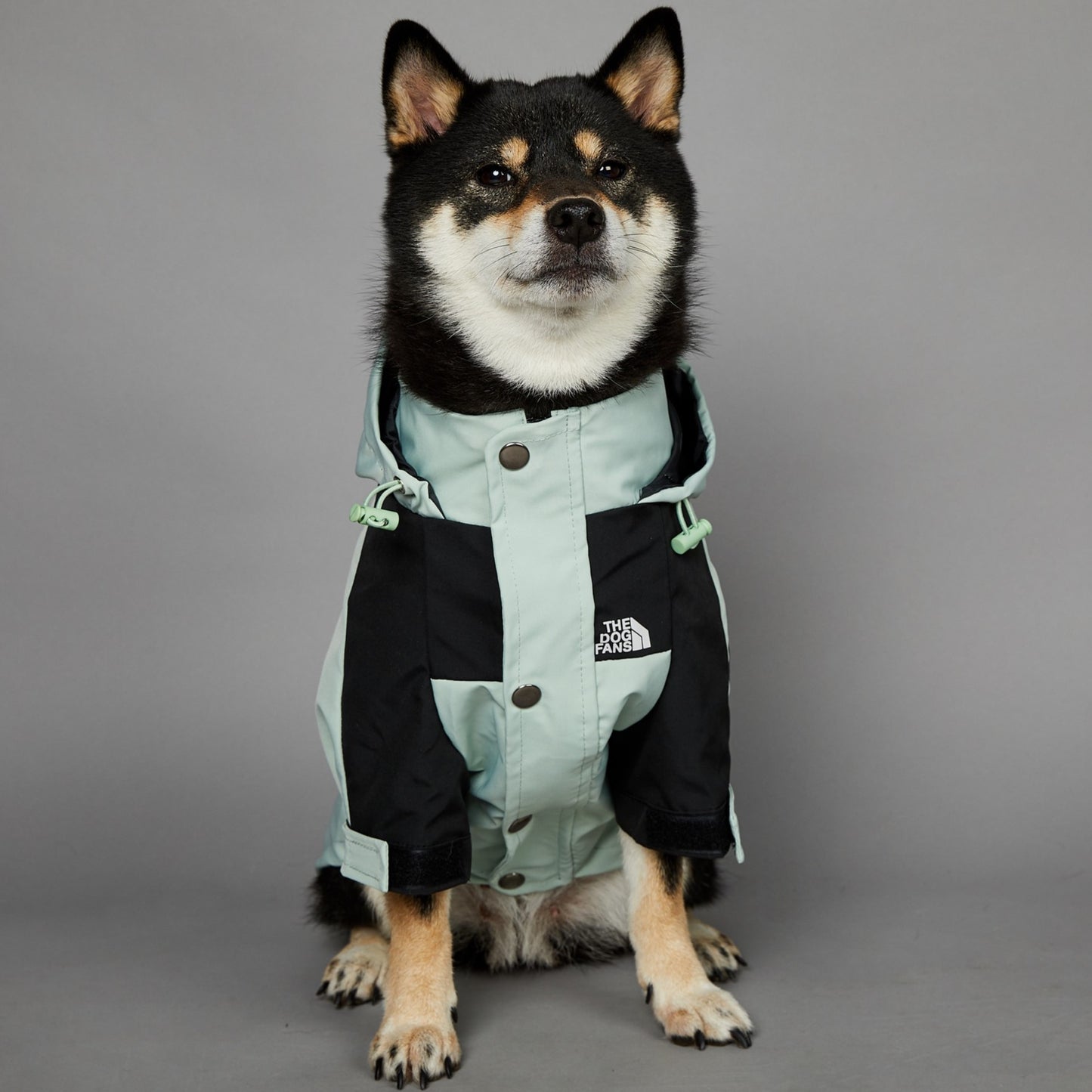 Chaqueta impermeable para perros grandes resistente al viento y a la lluvia