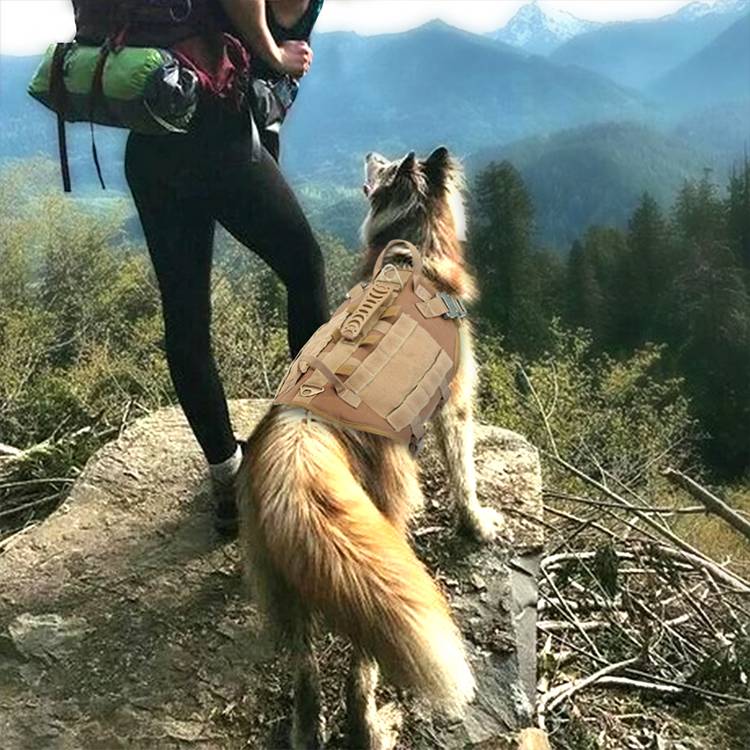 Malinois perro grande perro mano sujetando cuerda pecho chaleco ropa de combate correa para perro mochila para perro correas de entrenamiento especiales para salir