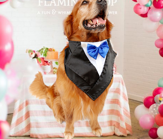 Wedding tuxedo big dog triangle scarf large dog golden hair ancient animal handsome pet scarf scarf