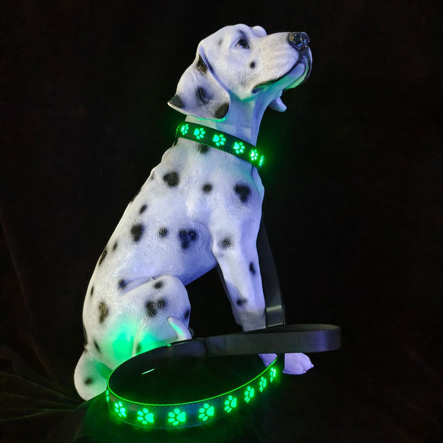 7 Colors In One LED Luminous Collar USB Charging Luminous Dog Paw Cat Traction