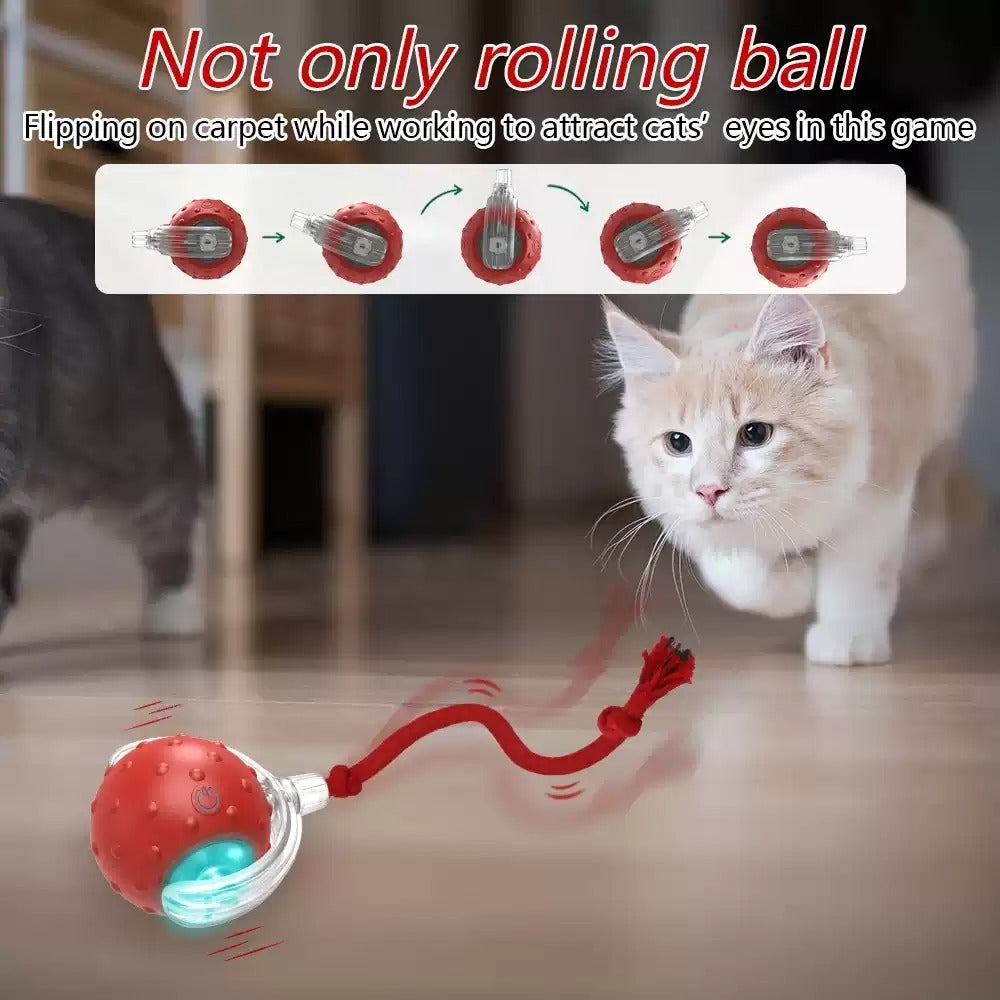 Pelota de juguete interactiva para gatos Super Drive Cat Rolling Balls con