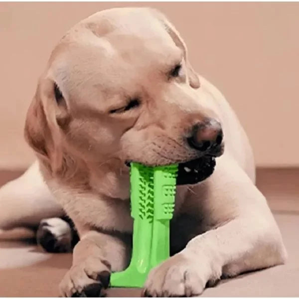 Cepillo de dientes de juguete para perros grandes