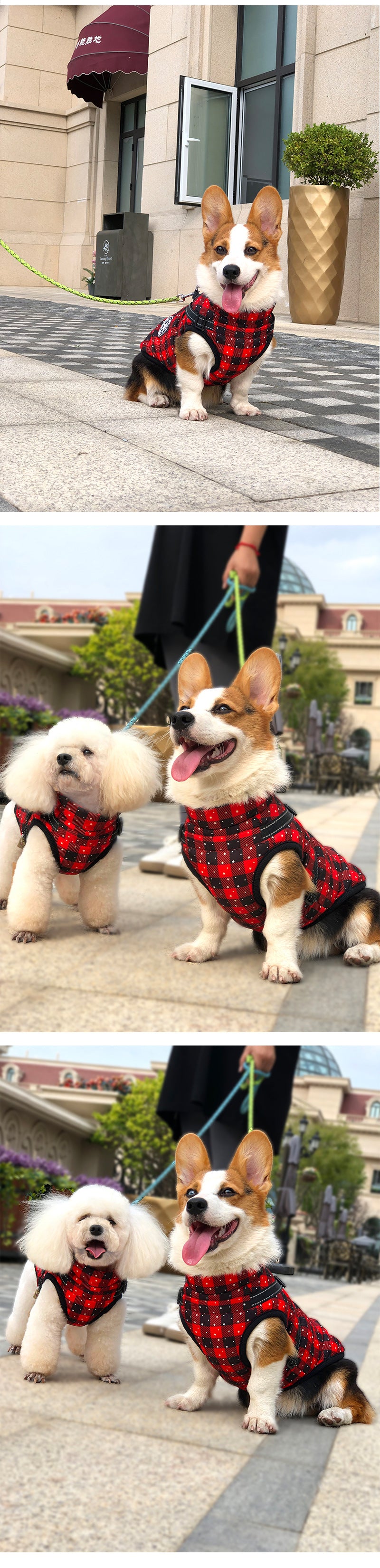 Ropa de otoño e invierno, ropa cálida para mascotas, cinta reflectante impermeable, pecho, espalda, algodón para perros