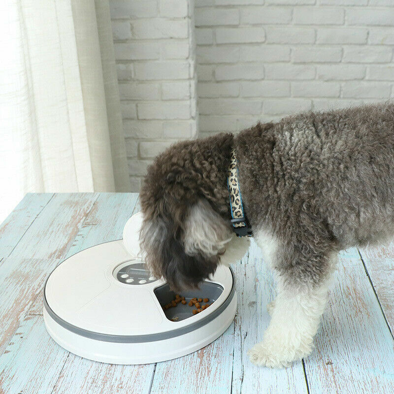 Bol Automatique Pour Animal De Compagnie Repas De 6 Jours Distributeur Automatique De Nourriture Chronométré Bol De Nourriture Musique