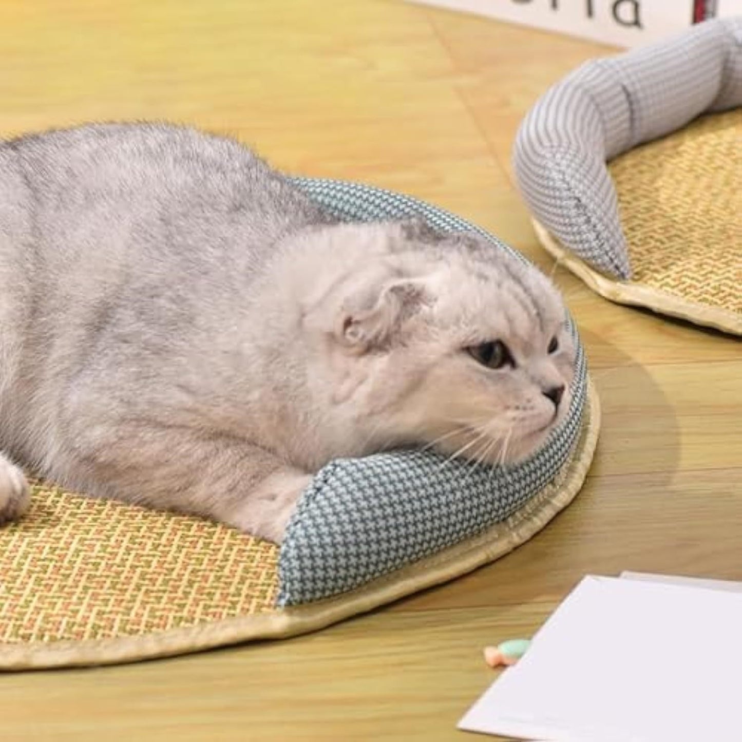 Estera refrescante para gatos: cama para mascotas de ratán con cojín transpirable y colchón de verano