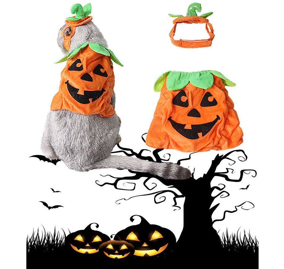 Accesorios de disfraz de gatos domésticos para Halloween, decoración creativa de hojas verdes con forma de calabaza, ropa de Cosplay, suministros de ropa para vacaciones