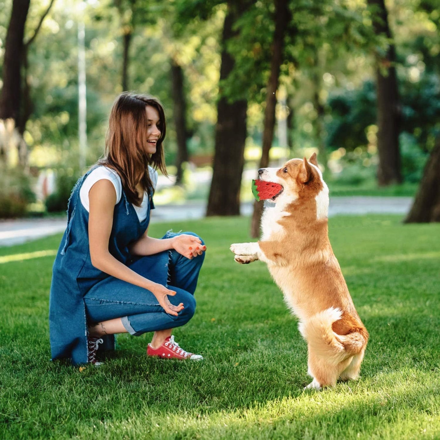 Lindo y resistente juguete masticable para perros de fresa para masticadores agresivos que satisface las necesidades de masticación y alimentación con funcionalidad de entrenamiento IQ 