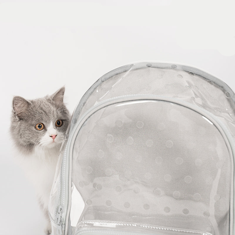 Bolsa para pasear gatos portátil totalmente transparente