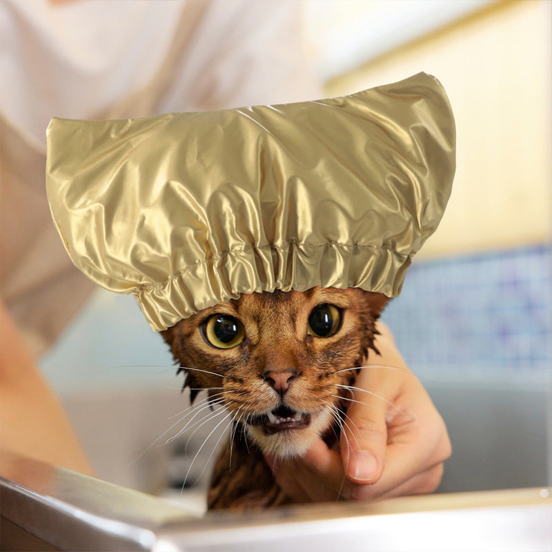 Bonnet de douche imperméable et réglable pour chat et chien