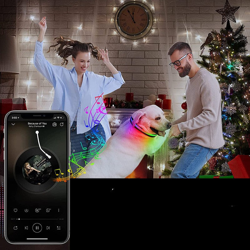 Collier de chien brillant avec chargement USB