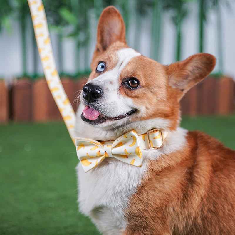 Cuerda de tracción para perros de plátano amarillo