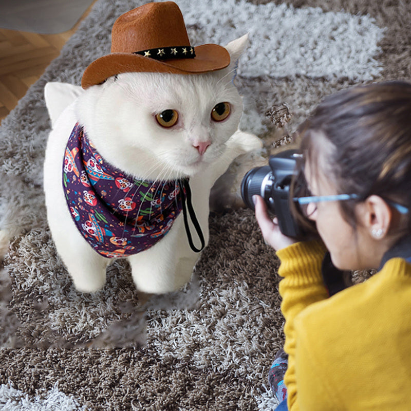 Elegante sombrero de vaquero para gatos, sombreros de estrella para gatos, perros, gorras suaves ajustables, fiestas callejeras, sesiones de fotos, accesorios universales, ropa