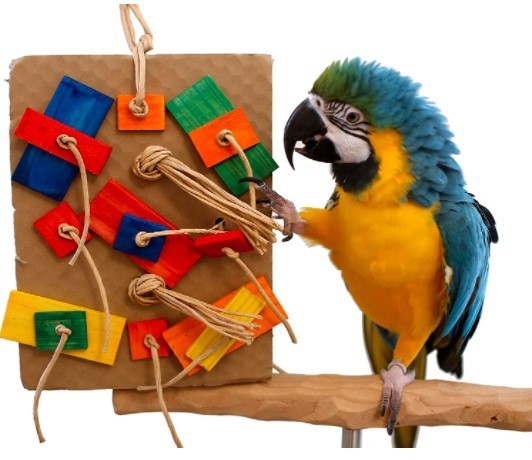 Parrot Colored Building Block Nibbling Toy