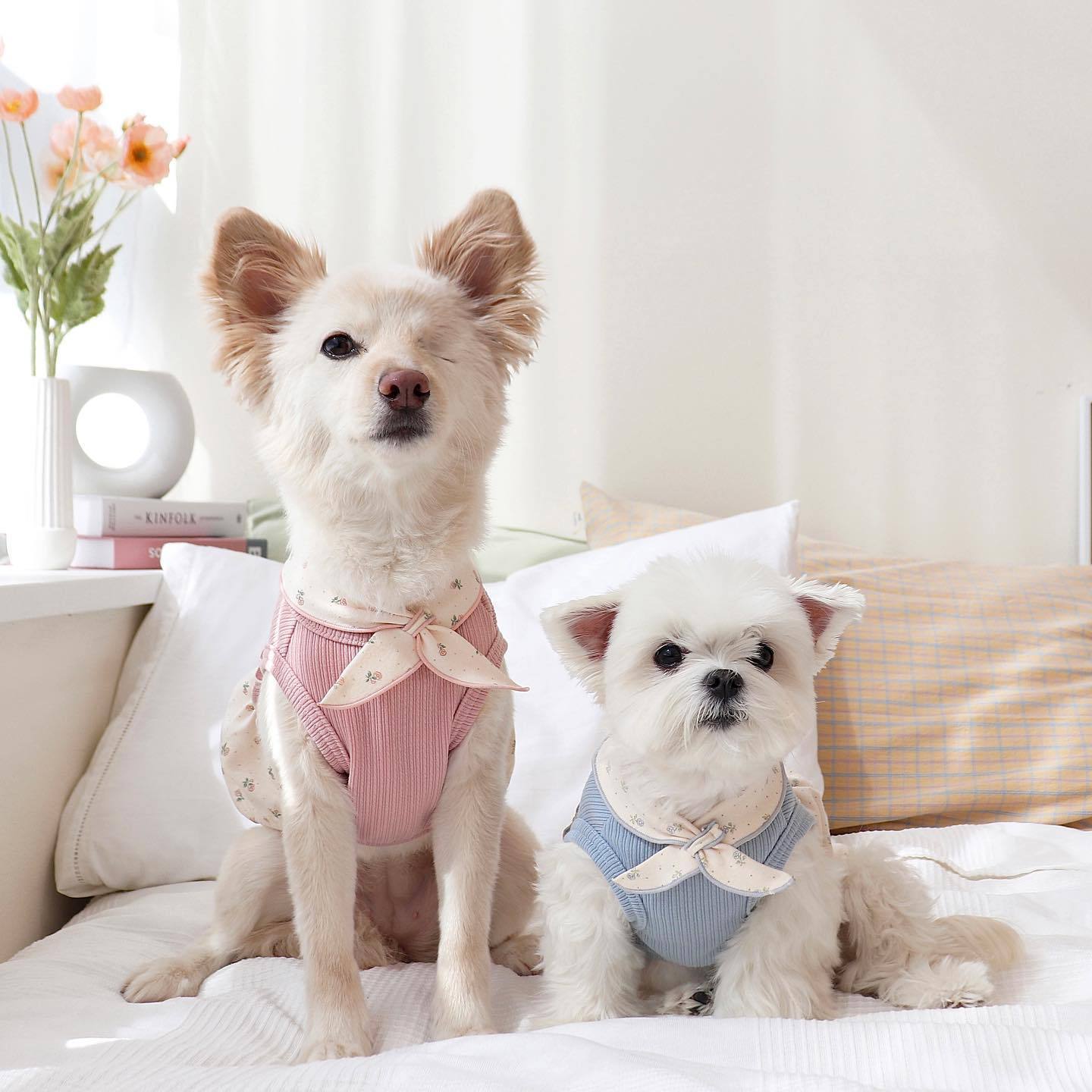 Chaleco con falda de burbujas floral y bufanda pequeña cálida y linda