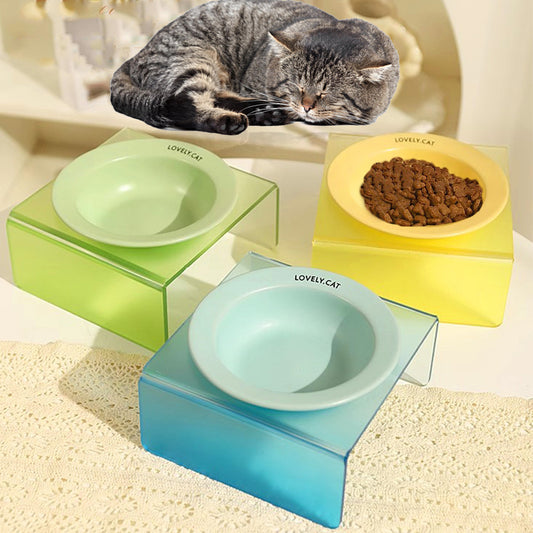 Bol pour animaux de compagnie support acrylique pied haut chat en céramique