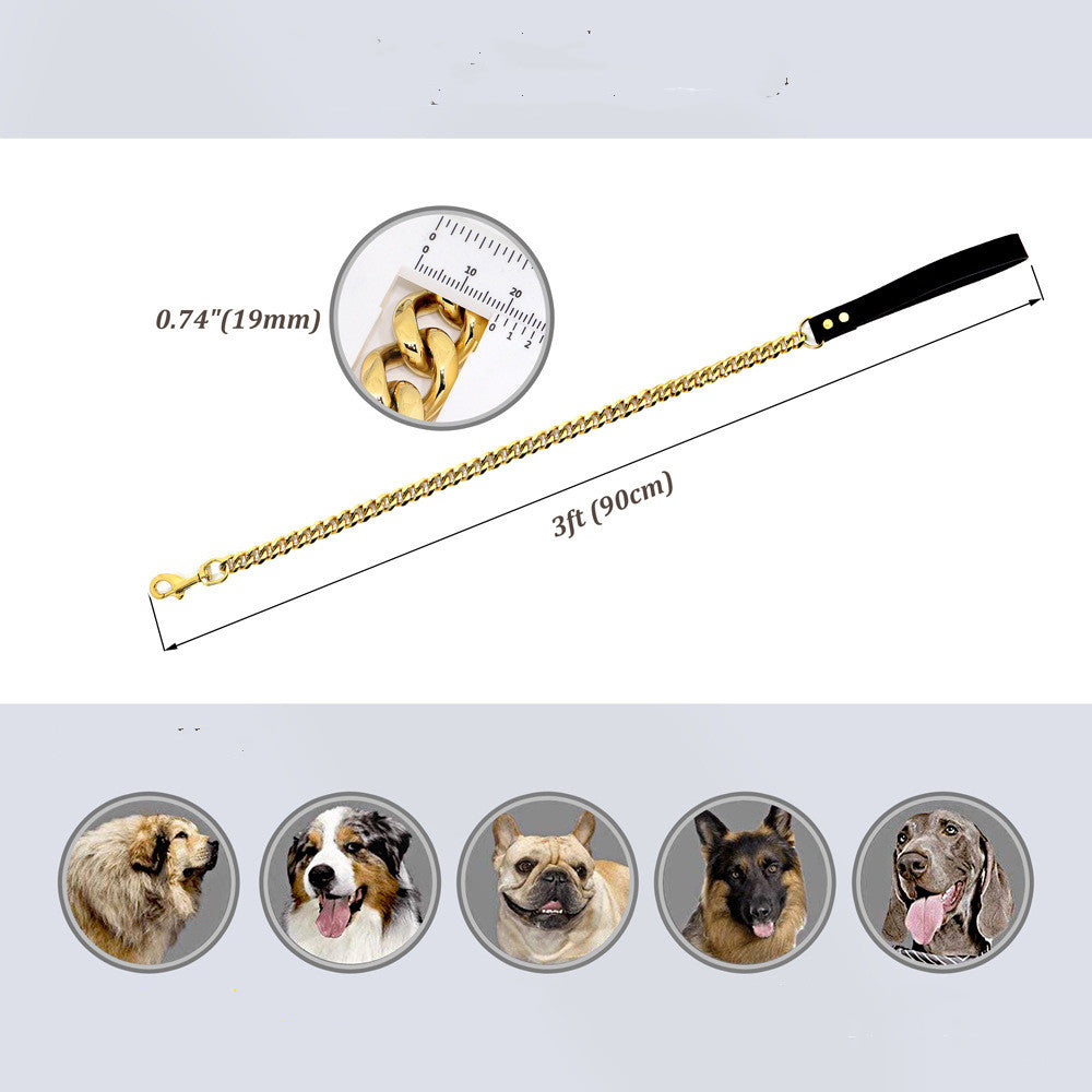 Laisse en acier titane doré pour chien de compagnie en acier inoxydable de 19 mm