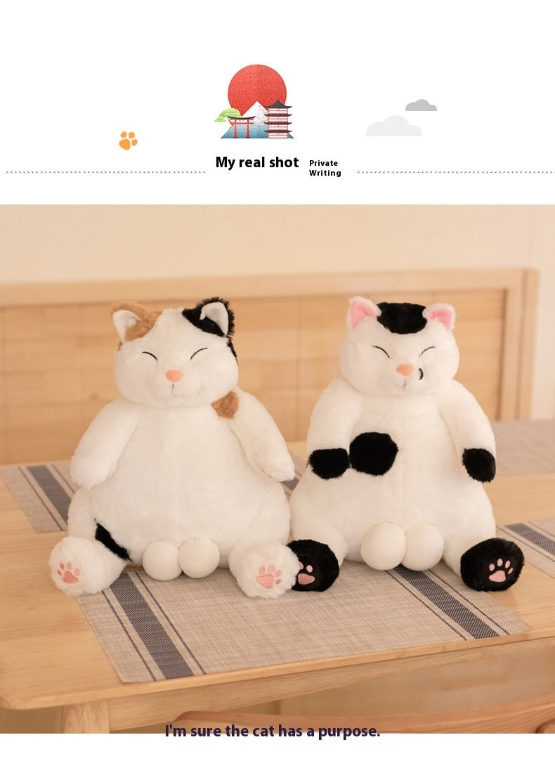 Lindos juguetes de peluche de muñeca de gato perezoso