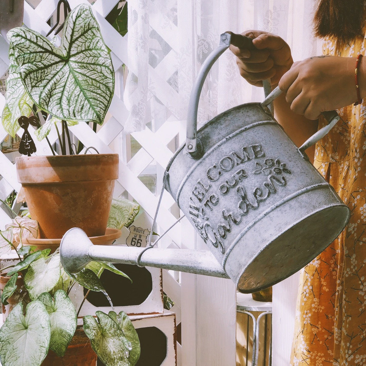 Wrought Iron Watering Can Vintage Old Garden Flower Vessel