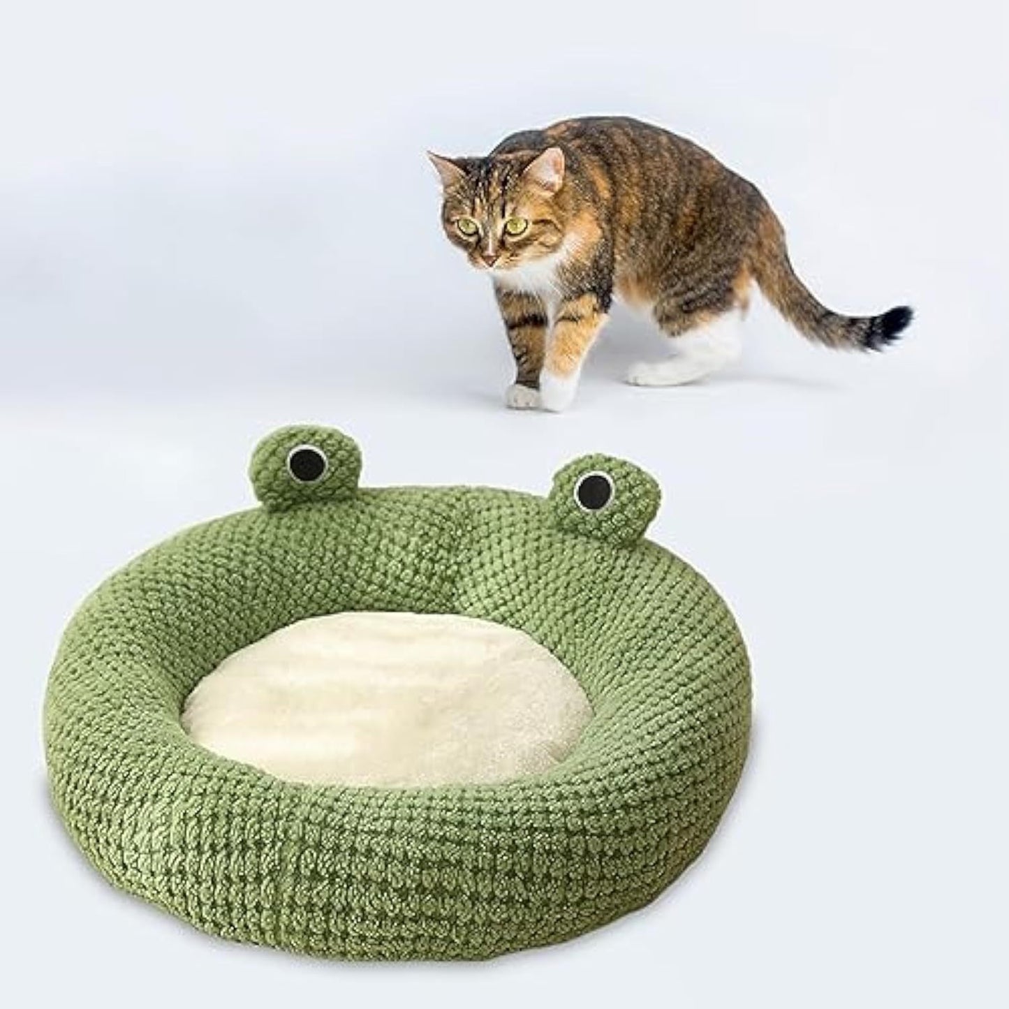 Lit de chat en forme de grenouille de dessin animé, lit de chat confortable d'intérieur pour chats ou petits chiens, chenil mignon pour animal de compagnie, nid de chat pour chiot, chaton, lapin