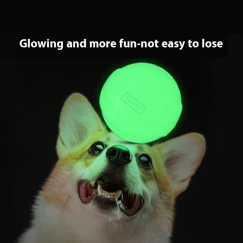 Pelota de juguete luminosa para cachorros, pelota elástica Molar para perros, pelota de goma