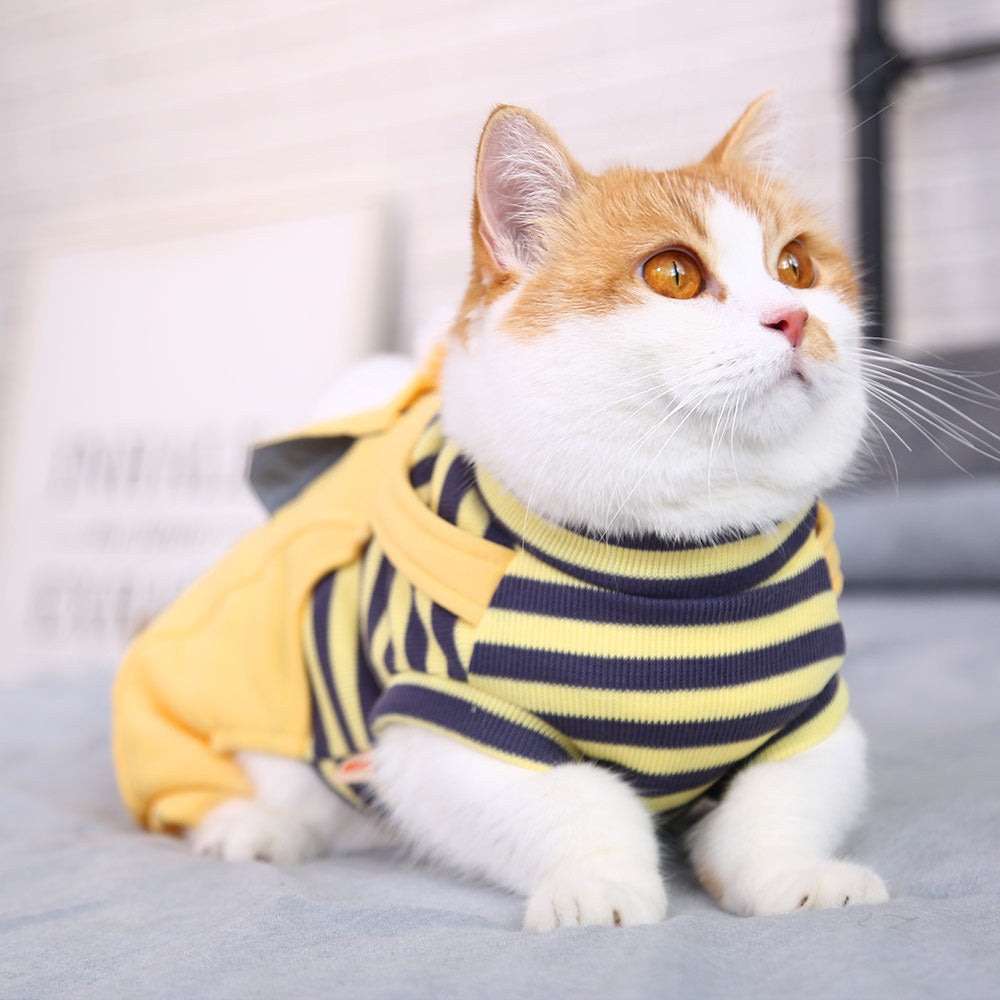 Vêtements chauds et mignons pour chat et animal de compagnie anti-peluches à quatre pattes