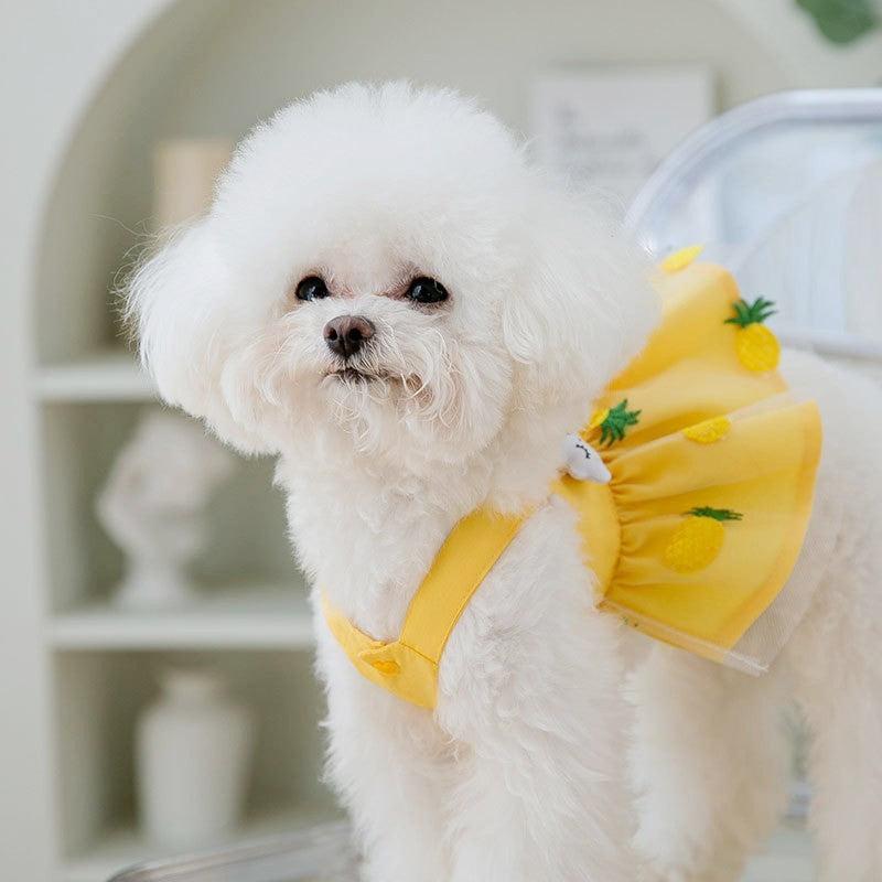 Vestido de verano para perros pequeños, ropa de lujo para perros, disfraz para perros chihuahua, bichón francés, ropa para mascotas, chaleco para perros, falda para cachorros