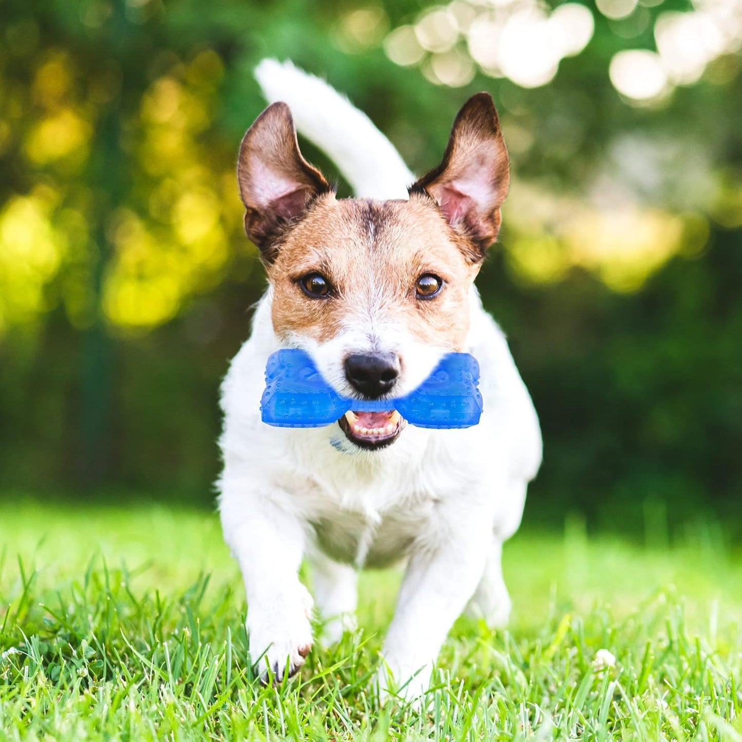 Juguete masticable refrescante para mordedores de mascotas para perros Juguete para la dentición para cachorros Adecuado para golosinas para más