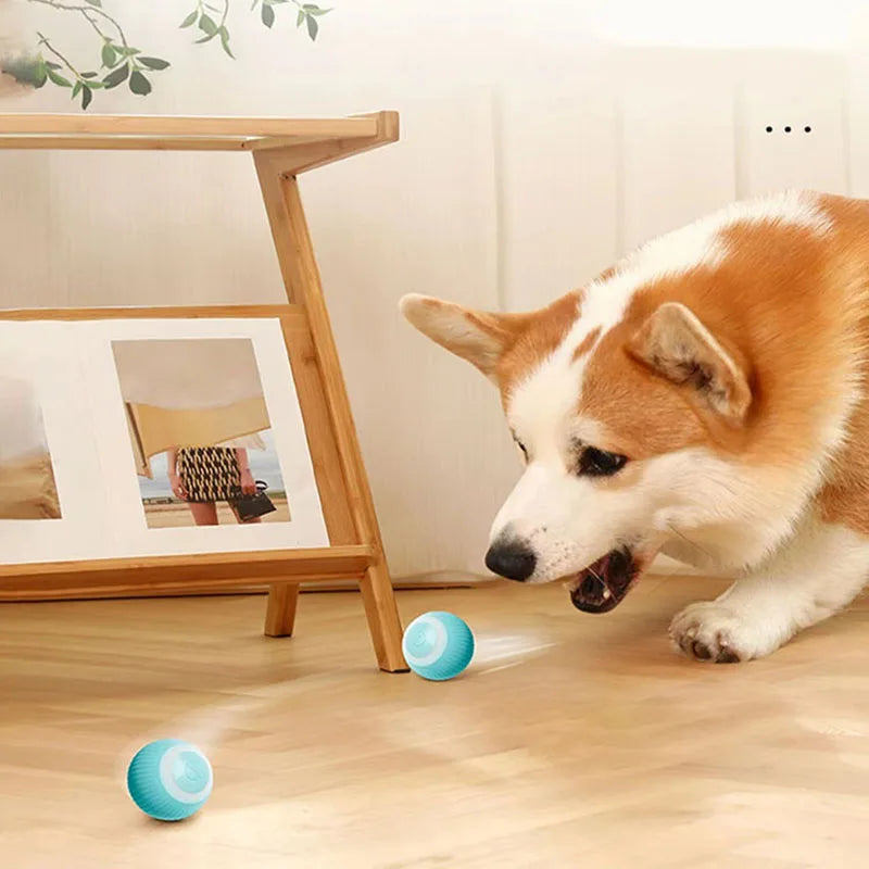 Jouets électriques de boule de chat jouets intelligents de chat de roulement automatique pour des jouets de chaton de formation de chats auto-mobiles pour le jeu interactif d'intérieur