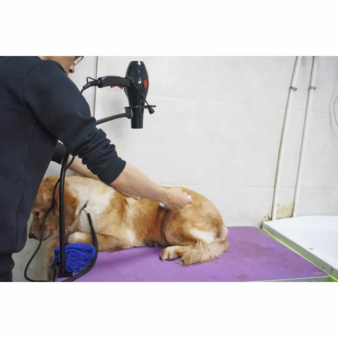 Accesorios de mesa para aseo de perros, soporte para secador de pelo, manos libres, acero inoxidable, rotación de 360 ​​grados con soporte de abrazadera ajustable