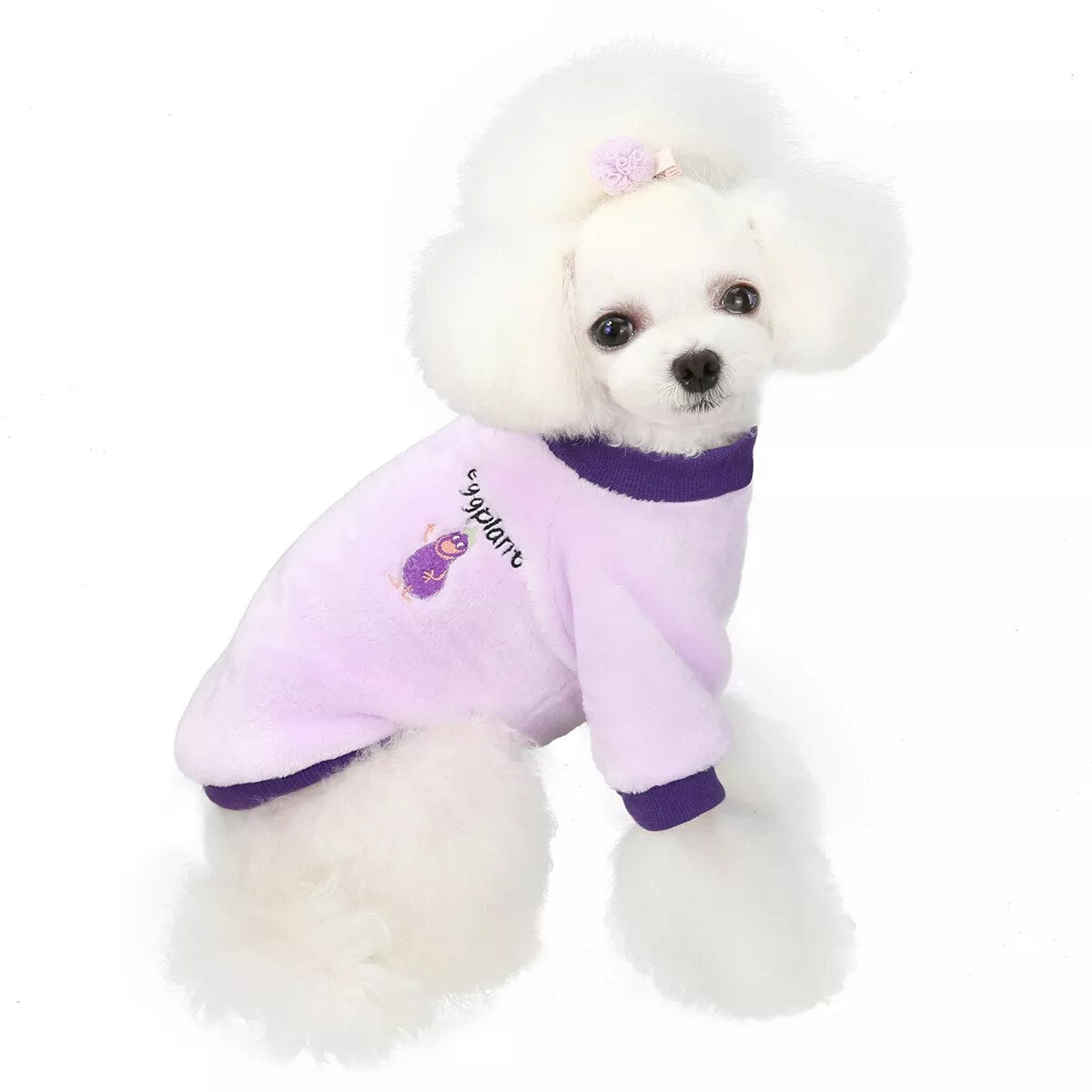 Warm Fleece Pet Clothes Cute Fruit Print Coat Small Medium Dog Cat Shirt Jacket Teddy French Bulldog Chihuahua Winter Outfit Fashion Style