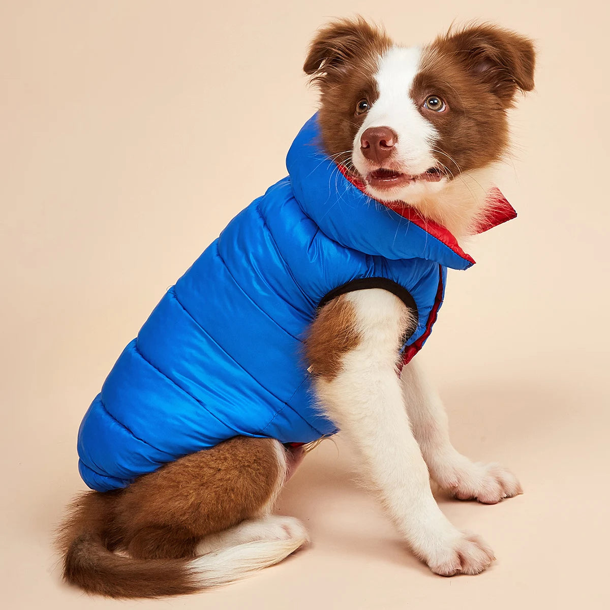 Vêtements imperméables pour grands chiens, veste d'hiver réversible pour animaux de compagnie, douce, rembourrée, bouffante, doudoune légère, Husky 5XL