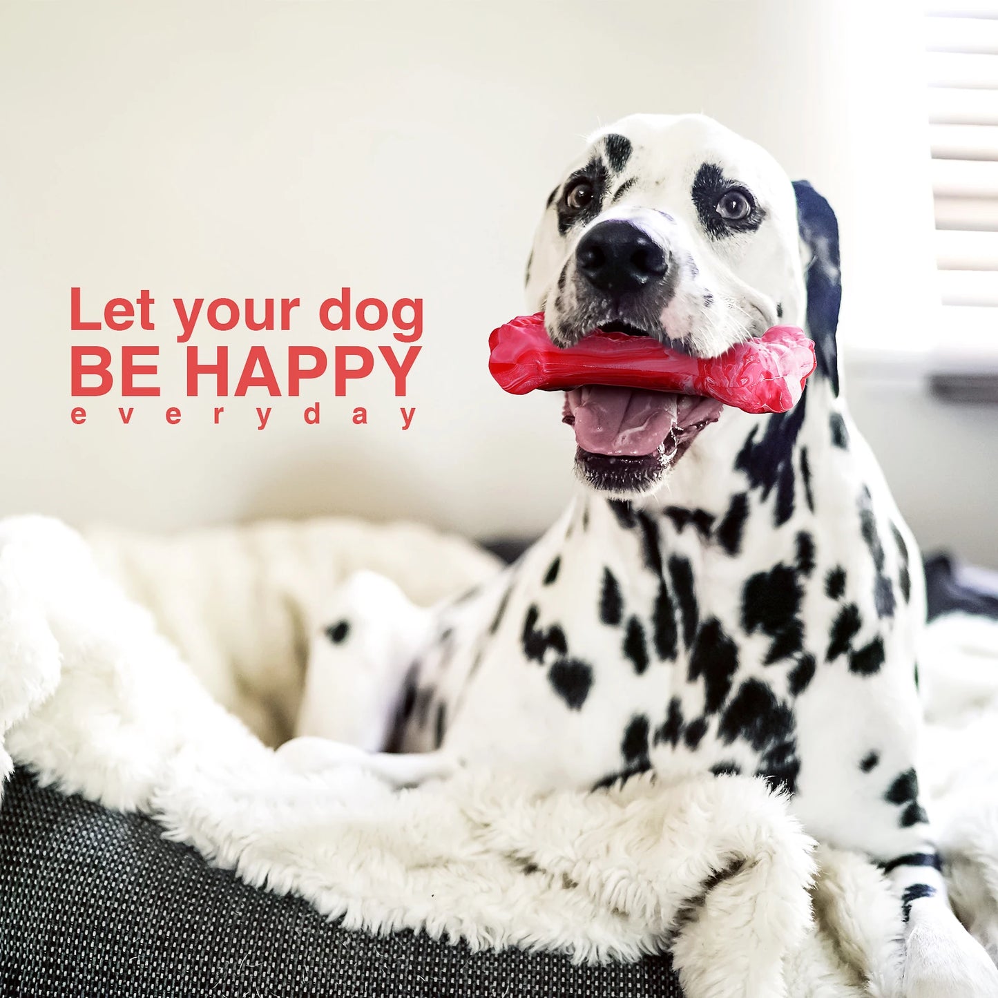 Juguete masticable de hueso para perro, dispensador de golosinas, cepillo de dientes de goma duradero, juguete de limpieza, suministros para masticar para cachorros