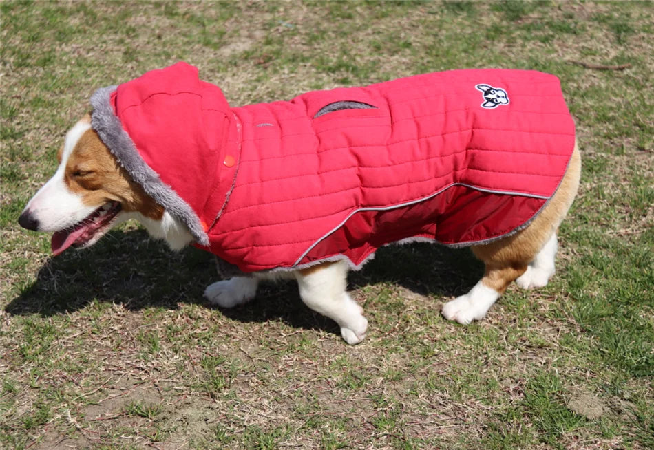 Ropa de invierno para perros Ropa gruesa de lana cálida para perros Chaqueta de invierno para perros Reflectante Ajustable Vientre Acolchado Abrigo para perros Capucha extraíble Estilo de moda