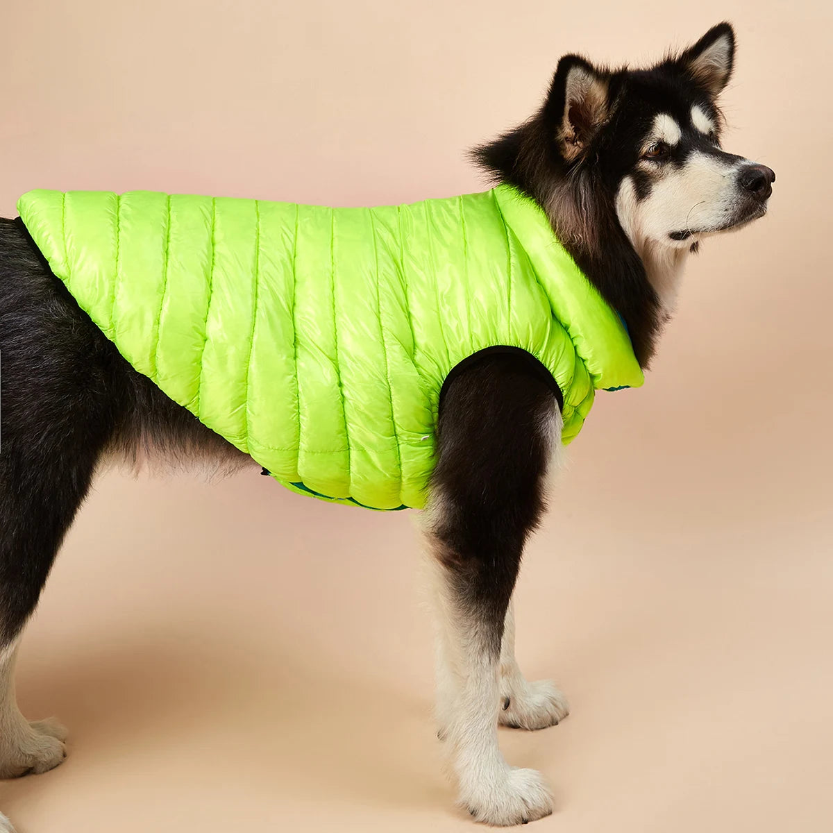 Vêtements imperméables pour grands chiens, veste d'hiver réversible pour animaux de compagnie, douce, rembourrée, bouffante, doudoune légère, Husky 5XL