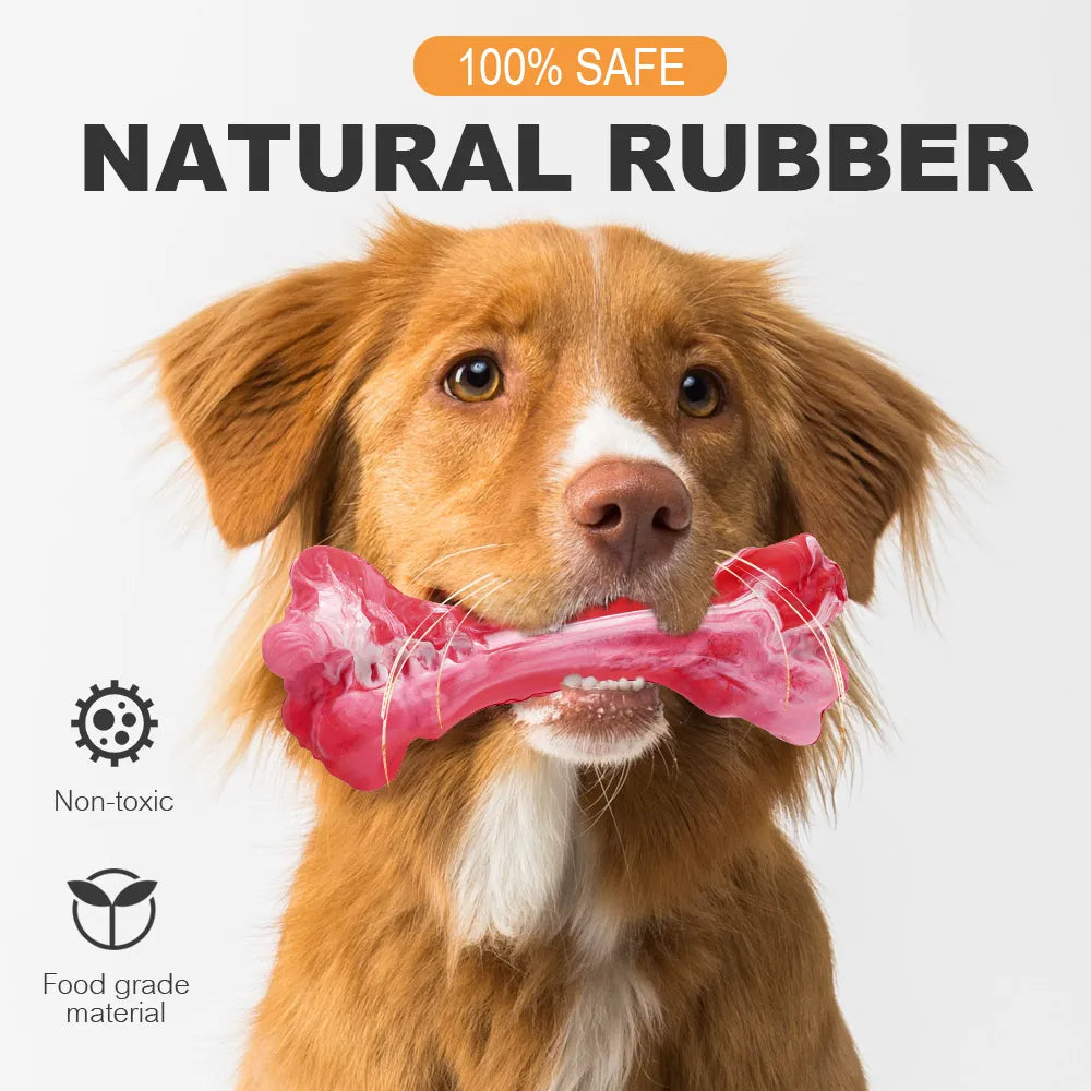 Juguete masticable de hueso para perro, dispensador de golosinas, cepillo de dientes de goma duradero, juguete de limpieza, suministros para masticar para cachorros