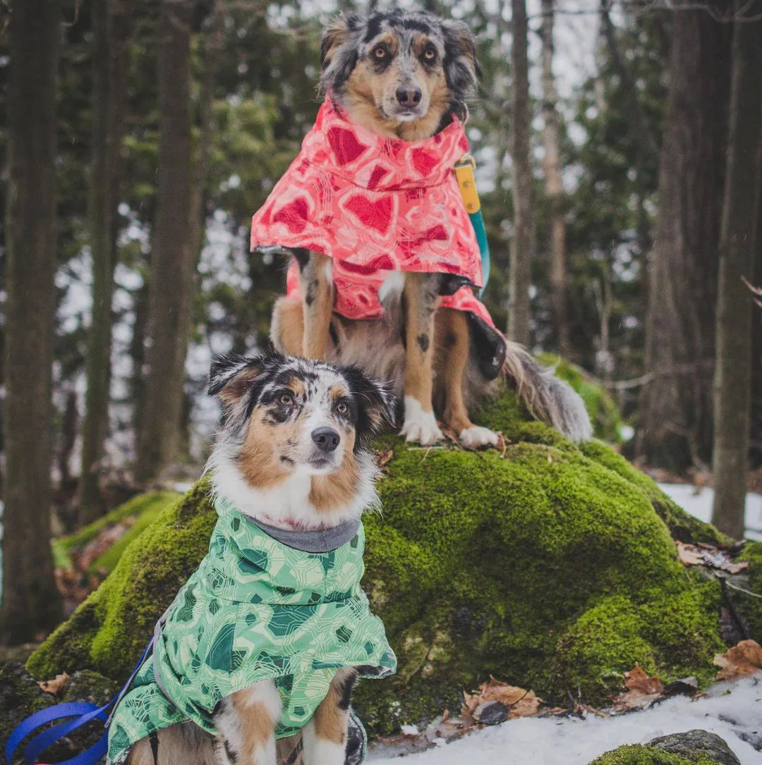 Ropa acolchada de invierno para perros, chaqueta impermeable muy cálidas para perros grandes, abrigo de algodón más grueso, ropa para mascotas, cachorros