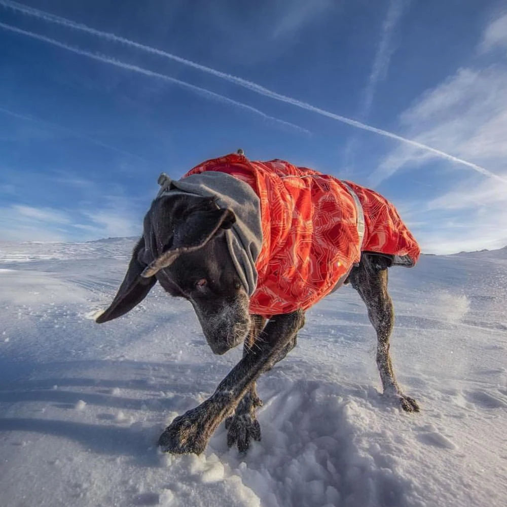 Ropa acolchada de invierno para perros, chaqueta impermeable muy cálidas para perros grandes, abrigo de algodón más grueso, ropa para mascotas, cachorros