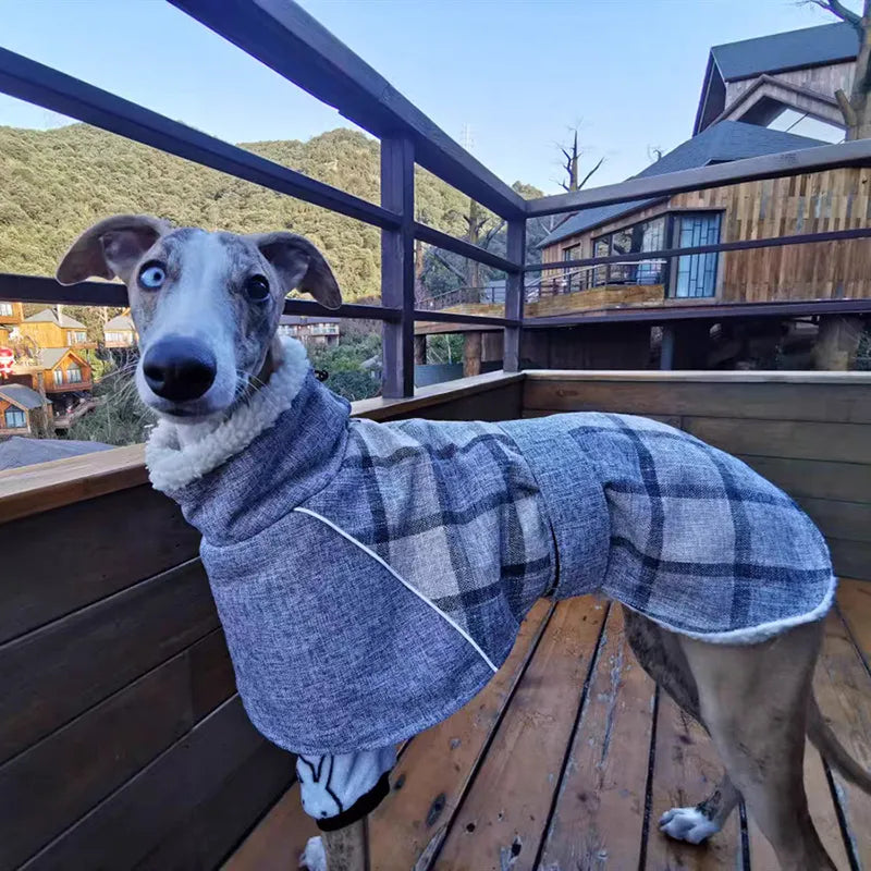 Warm Fleece Winter Big Dog Clothes Fashion Plaid Print  Pet Jacket with Belt for Medium Large Dogs Greyhound Weimaraner Clothing Fashion Style